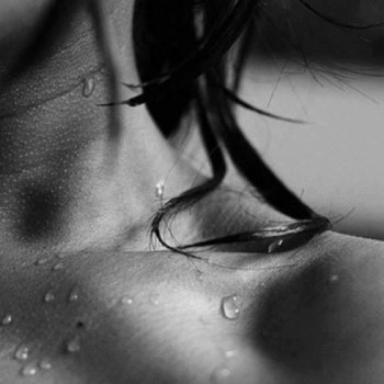 Crystalle - Zwalin - Flandre orientale | Plans Cul