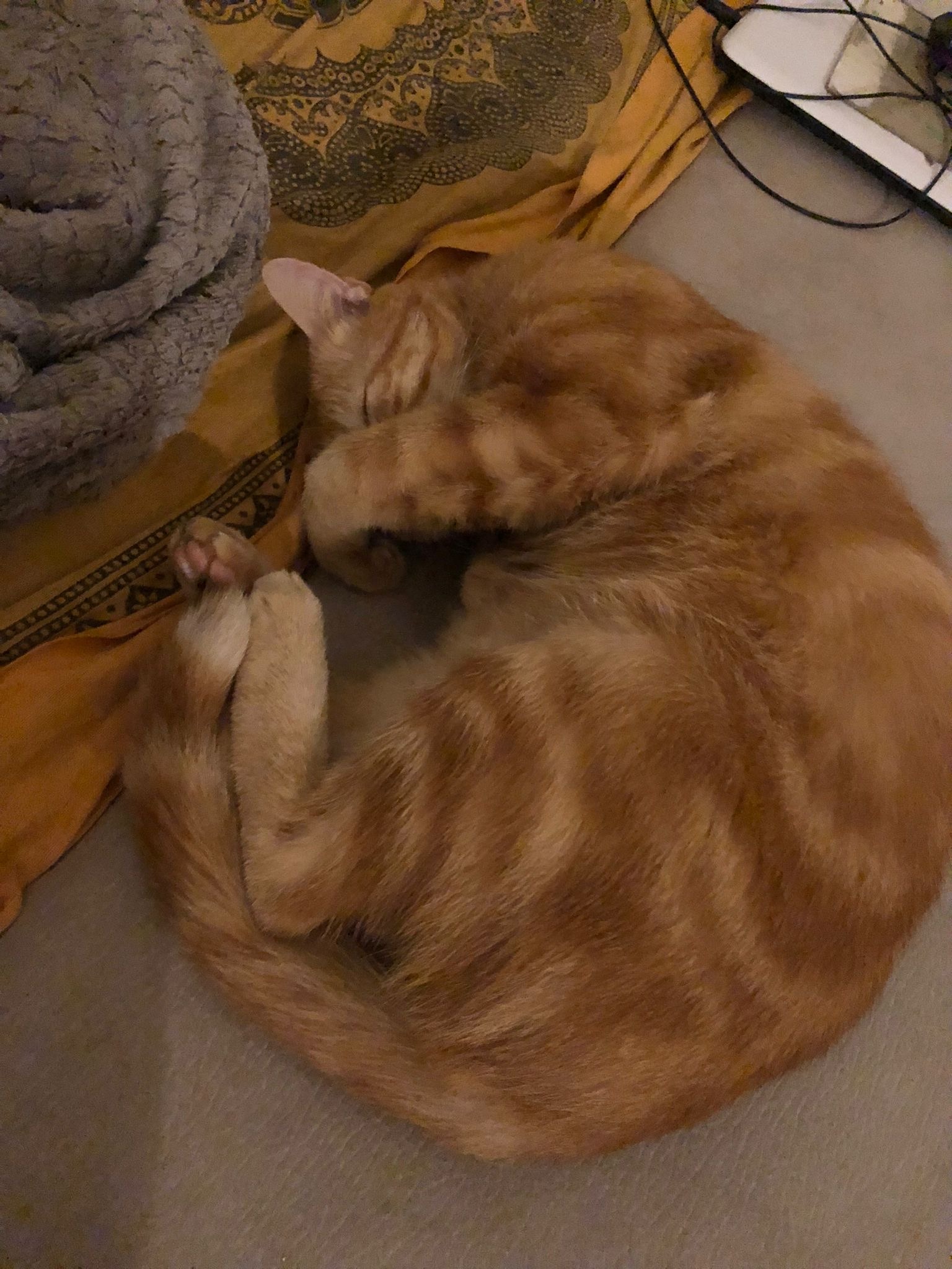 Hugues-antoine - Morlanwelz - Hainaut | Plans Cul