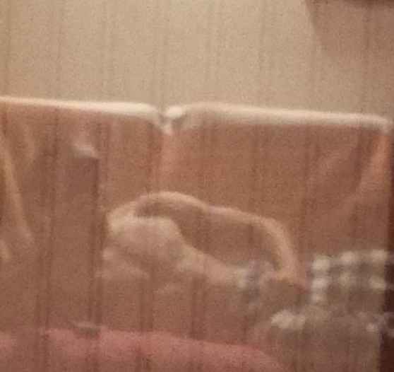 Efisio - Etterbeek - Bruxelles-Capitale | Plans Cul