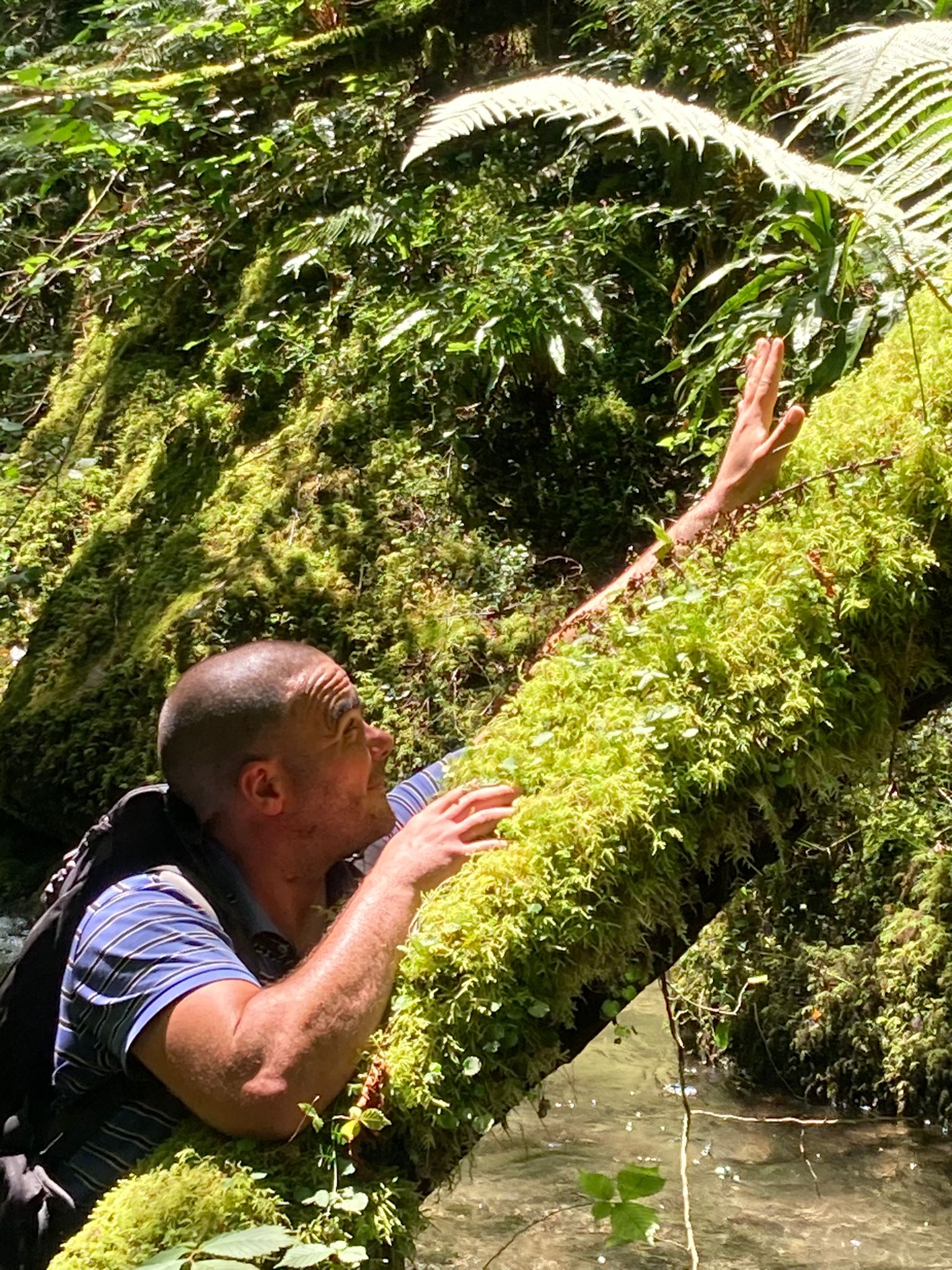 Jean-edmond - Hove - Anvers | Plans Cul