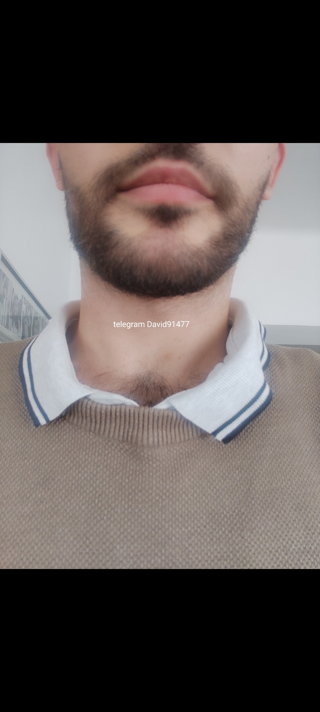 Ours - Berloz - Liège | Plans Cul