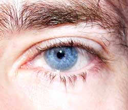 Jean-raoul - Bourg-Léopold - Limbourg | Plans Cul