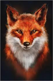 Jean-adrien - Vosselaar - Anvers | Plans Cul